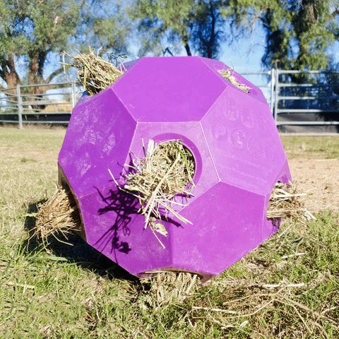 Purple hay feeder with hay inside on a grassy field